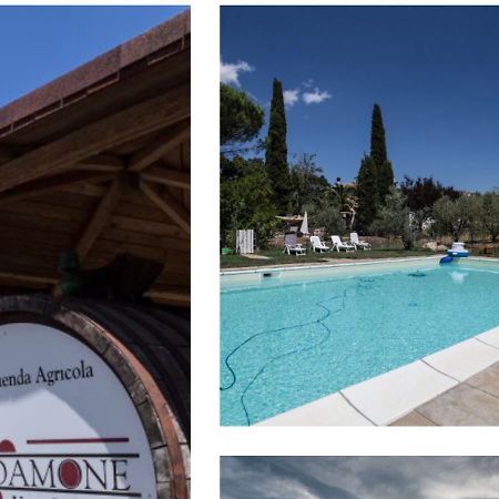 Le Stanze Di Zelinda Villa Suvereto Exteriör bild