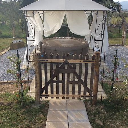 Le Stanze Di Zelinda Villa Suvereto Exteriör bild
